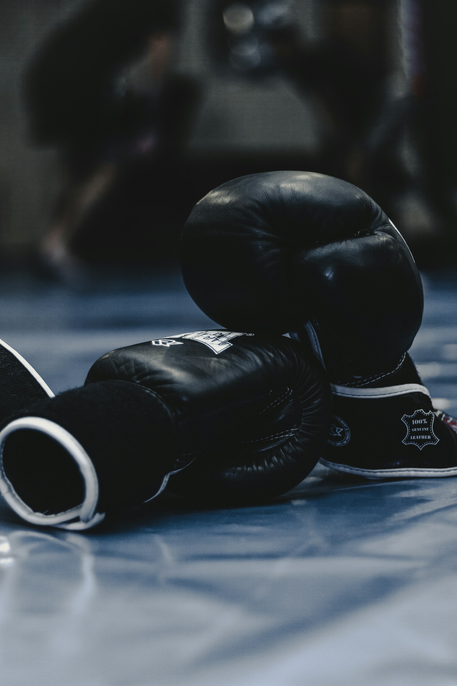 Vintage leather laced boxing gloves hanging in brick gym with spotlight beam
